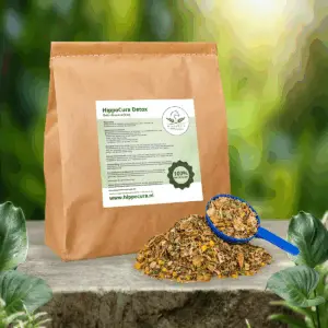 HippoCura Detox