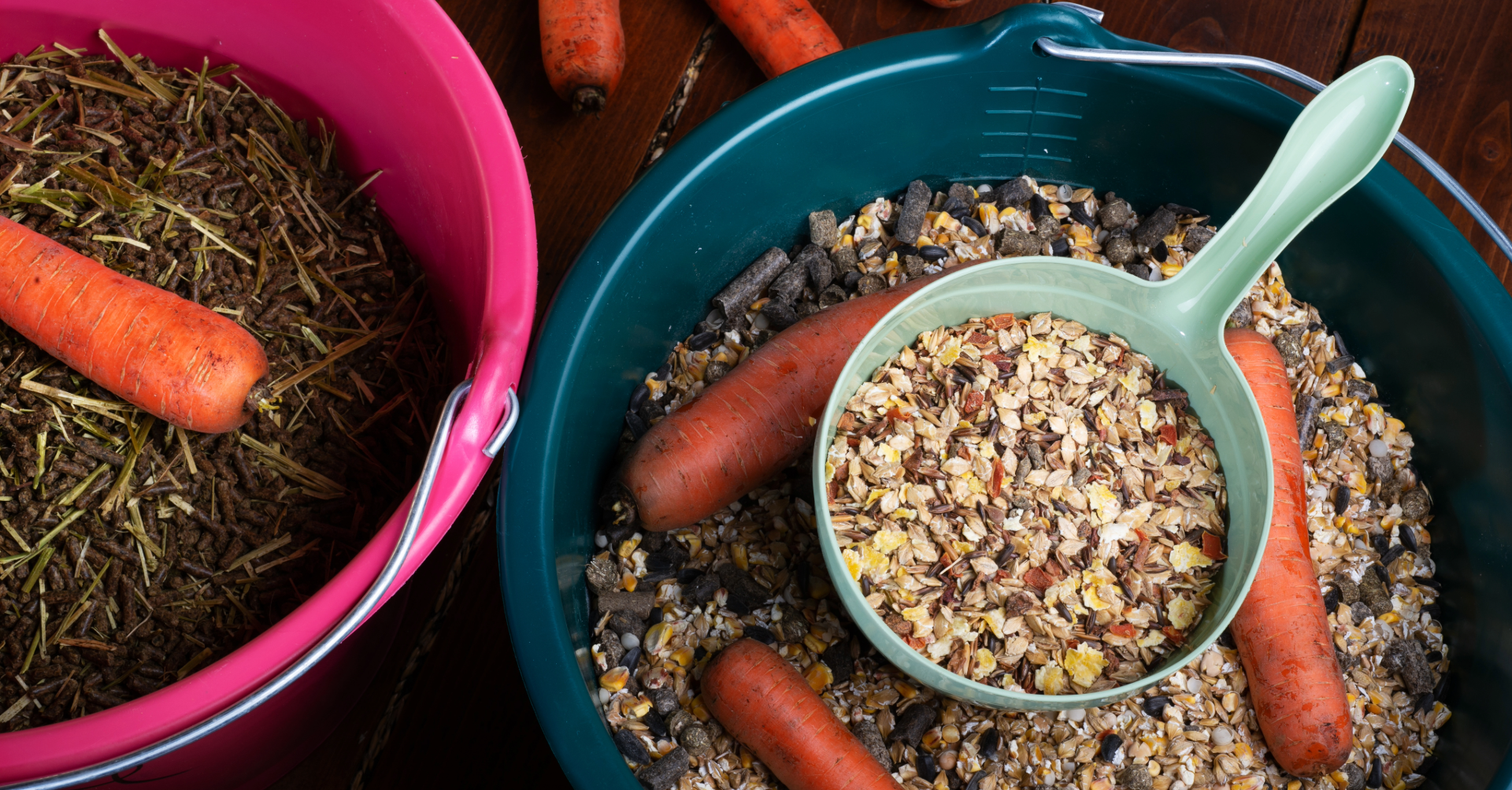 voedingsadvies groot kopie